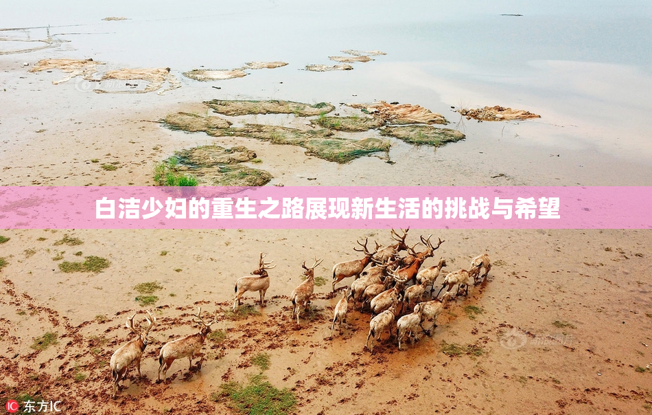 白洁少妇的重生之路展现新生活的挑战与希望