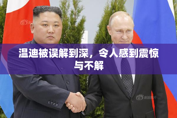 温迪被误解到深，令人感到震惊与不解