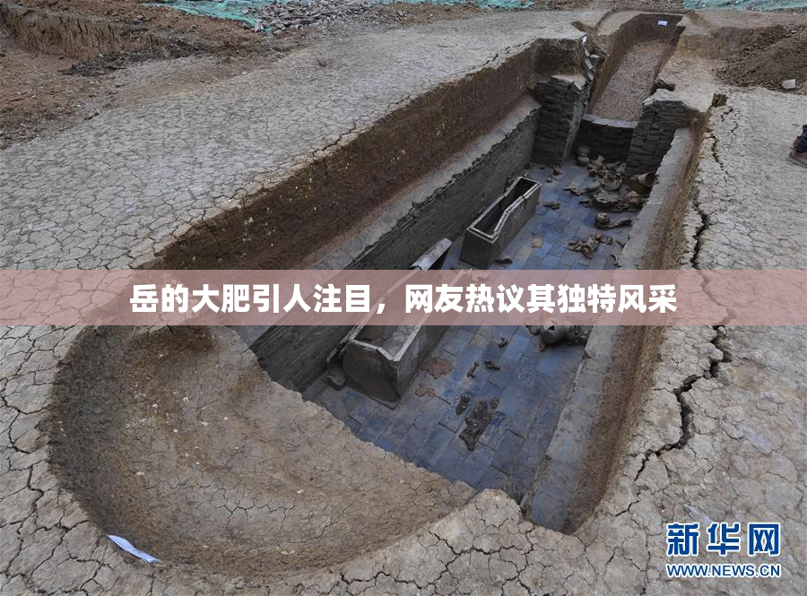 岳的大肥引人注目，网友热议其独特风采