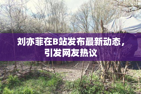 刘亦菲在B站发布最新动态，引发网友热议