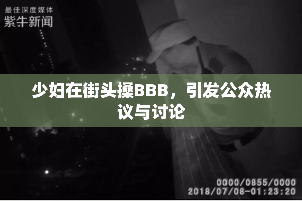 少妇在街头搡BBB，引发公众热议与讨论
