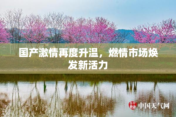 国产激情再度升温，燃情市场焕发新活力