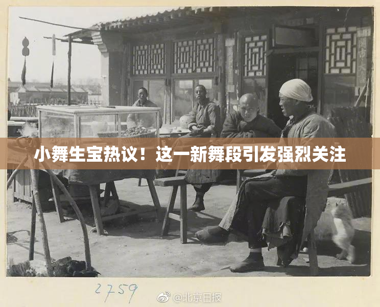 小舞生宝热议！这一新舞段引发强烈关注