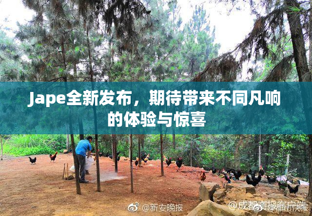 Jape全新发布，期待带来不同凡响的体验与惊喜