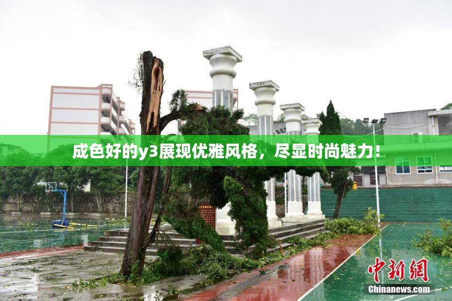 成色好的y3展现优雅风格，尽显时尚魅力！