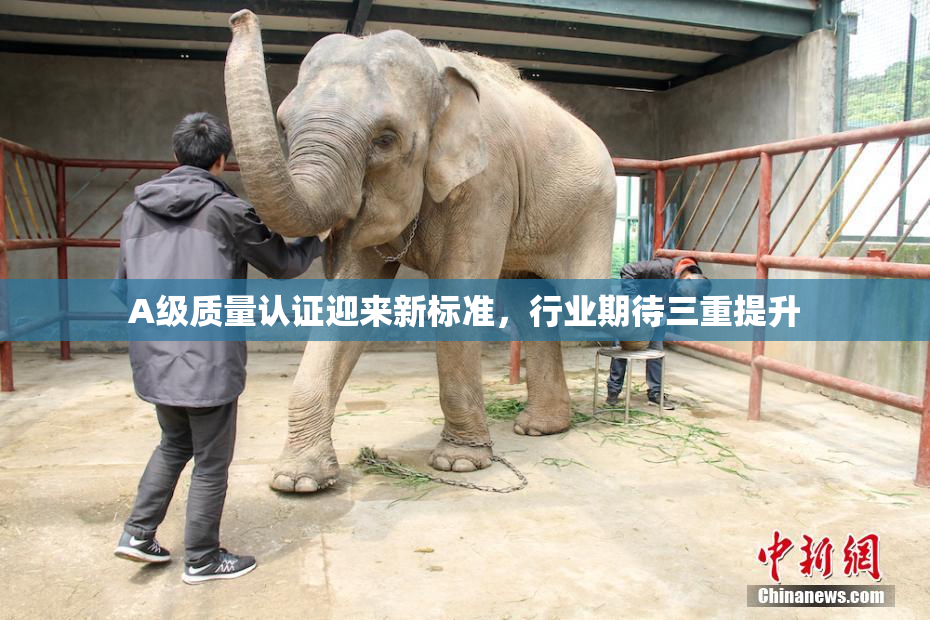 A级质量认证迎来新标准，行业期待三重提升