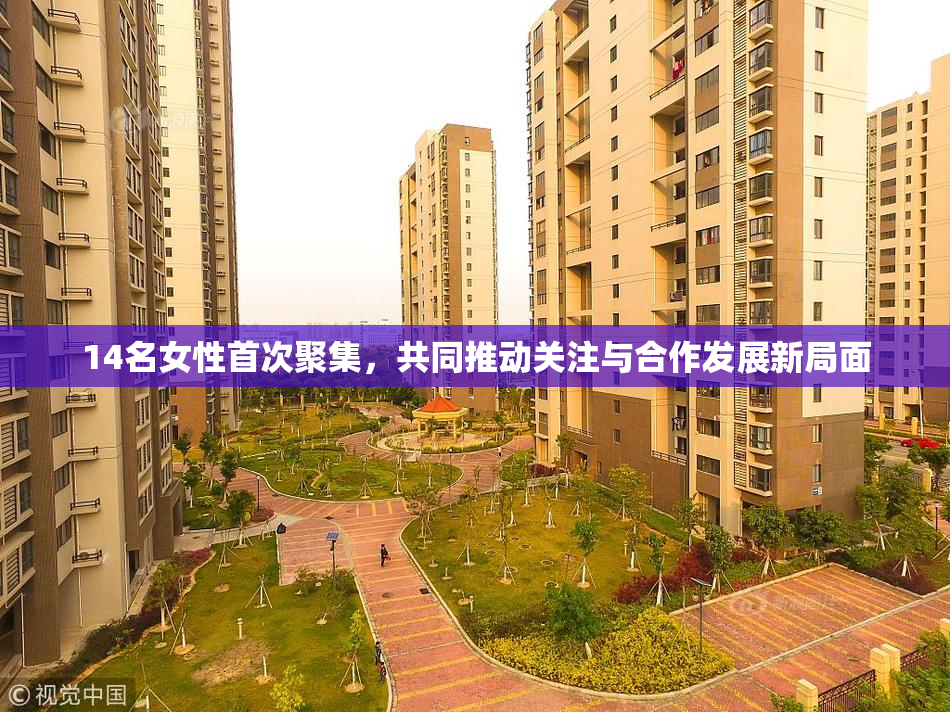 14名女性首次聚集，共同推动关注与合作发展新局面