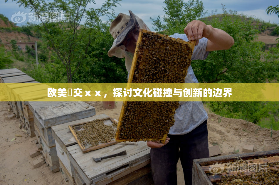欧美嘼交ⅹⅹ，探讨文化碰撞与创新的边界