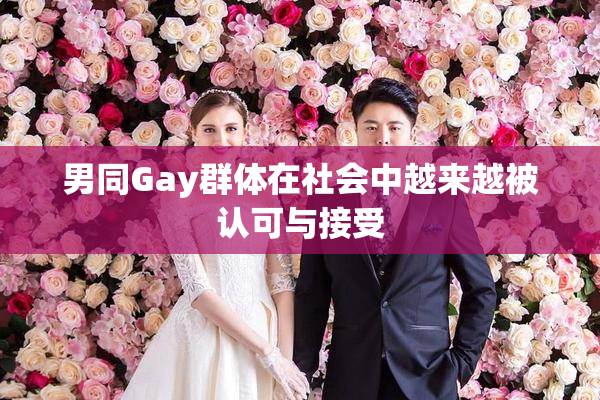 男同Gay群体在社会中越来越被认可与接受