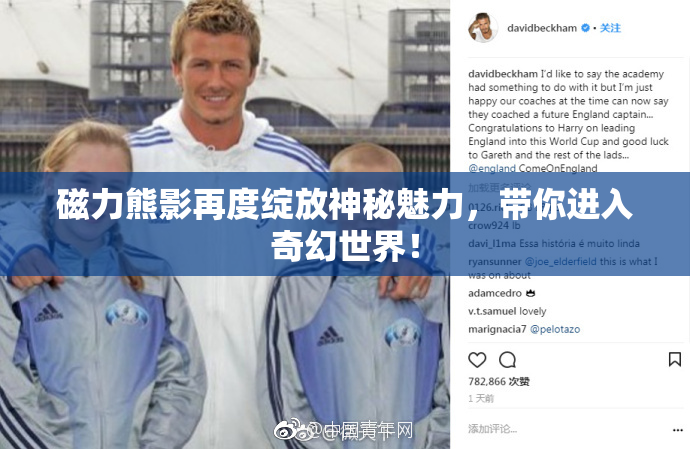 磁力熊影再度绽放神秘魅力，带你进入奇幻世界！