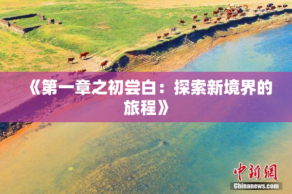 《第一章之初尝白：探索新境界的旅程》