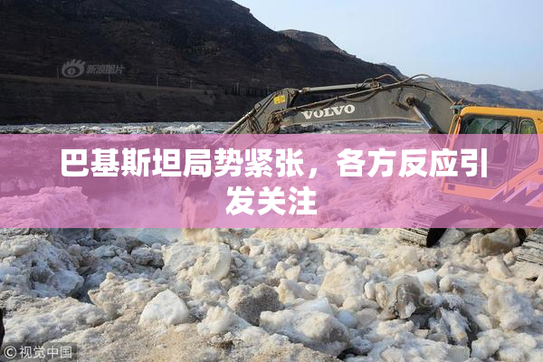 巴基斯坦局势紧张，各方反应引发关注