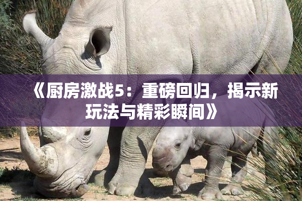 《厨房激战5：重磅回归，揭示新玩法与精彩瞬间》