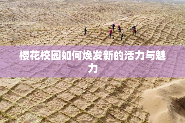 樱花校园如何焕发新的活力与魅力