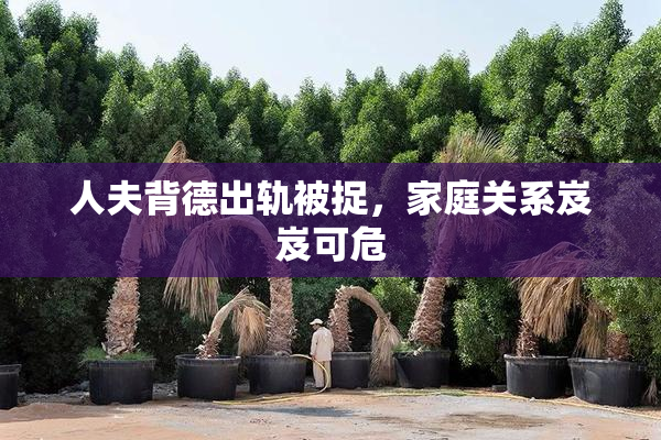 人夫背德出轨被捉，家庭关系岌岌可危