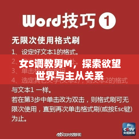 女S调教男M，探索欲望世界与主从关系