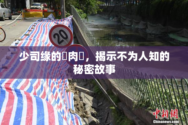 少司缘的婬肉泬，揭示不为人知的秘密故事