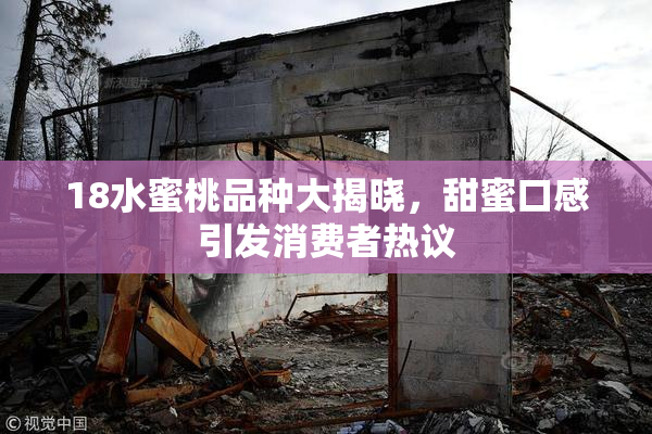 18水蜜桃品种大揭晓，甜蜜口感引发消费者热议