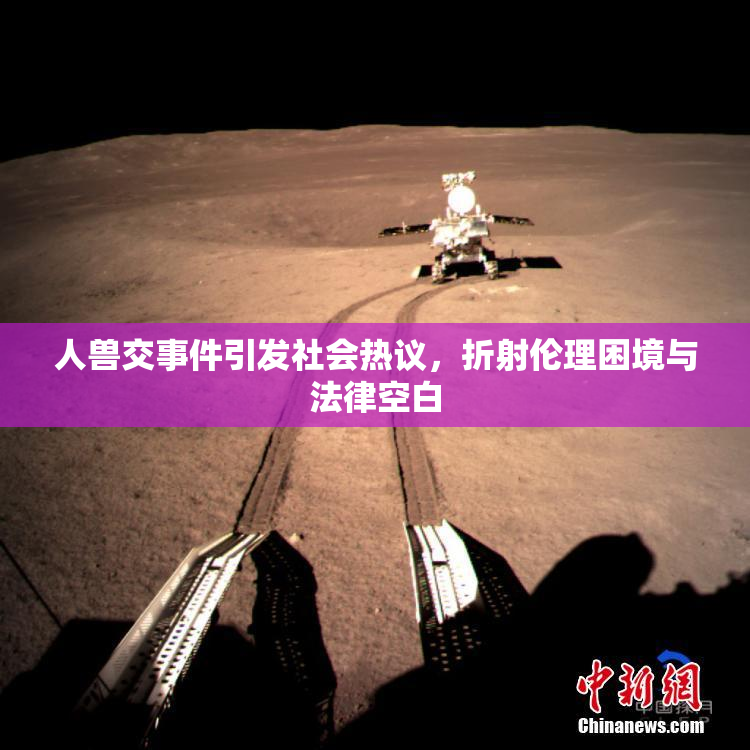 人兽交事件引发社会热议，折射伦理困境与法律空白