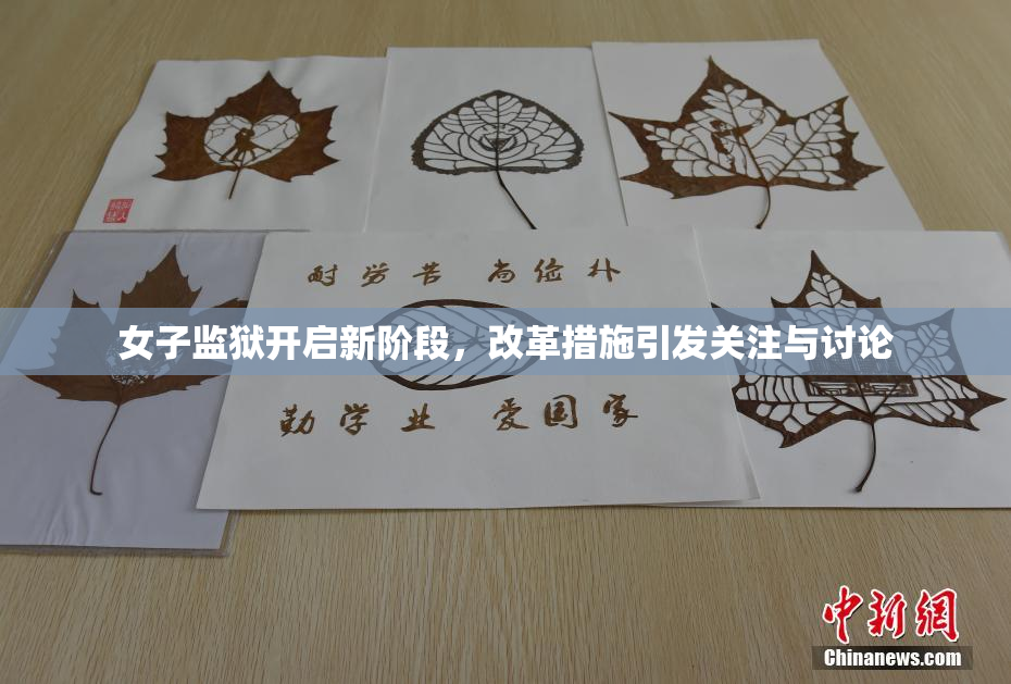 女子监狱开启新阶段，改革措施引发关注与讨论