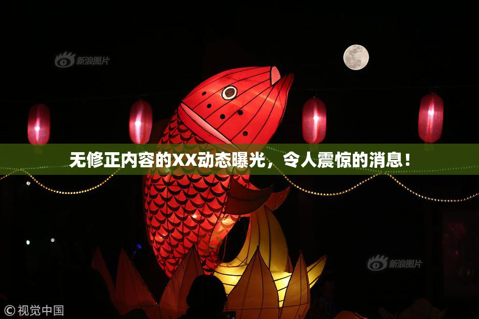 无修正内容的XX动态曝光，令人震惊的消息！