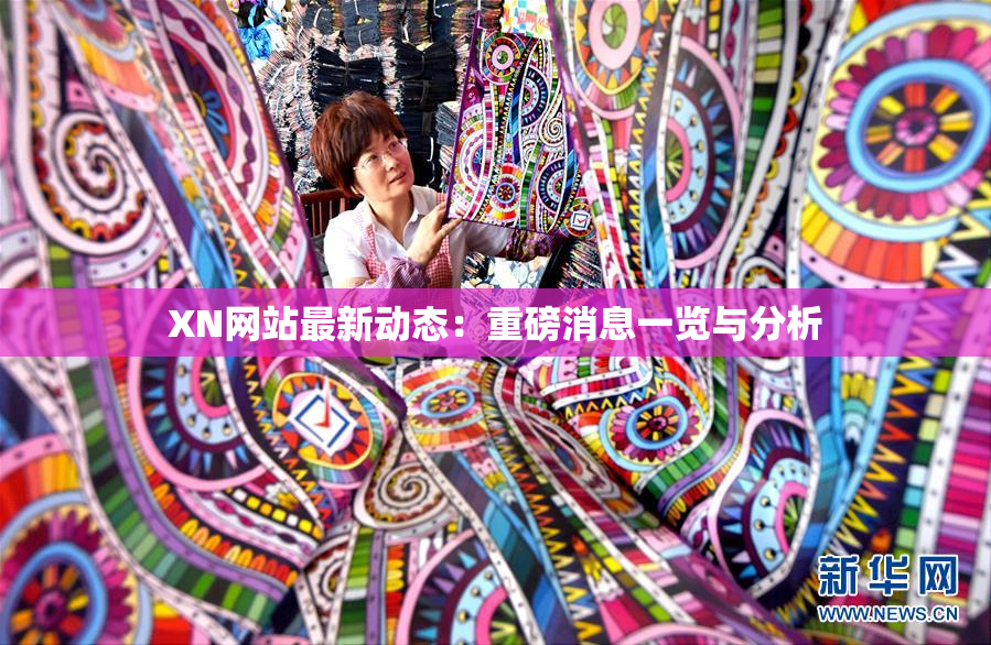 XN网站最新动态：重磅消息一览与分析