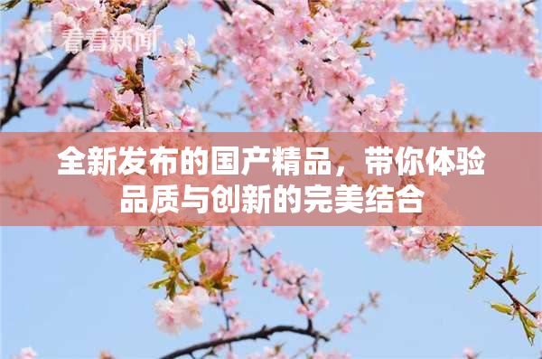 全新发布的国产精品，带你体验品质与创新的完美结合