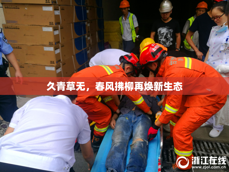 久青草无，春风拂柳再焕新生态
