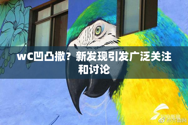 wC凹凸撒？新发现引发广泛关注和讨论