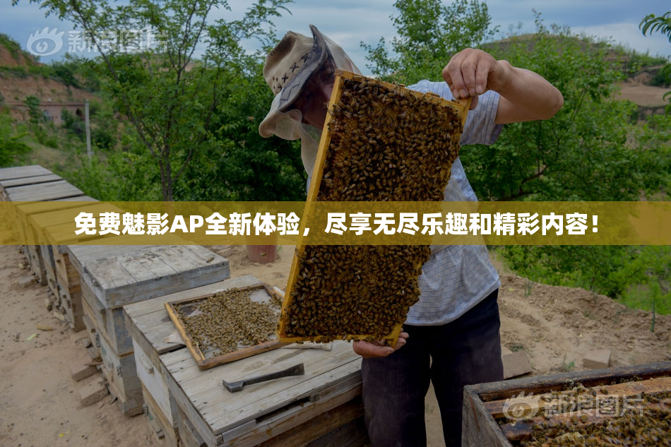 免费魅影AP全新体验，尽享无尽乐趣和精彩内容！