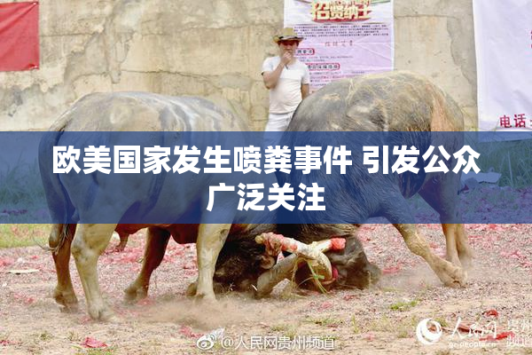 欧美国家发生喷粪事件 引发公众广泛关注