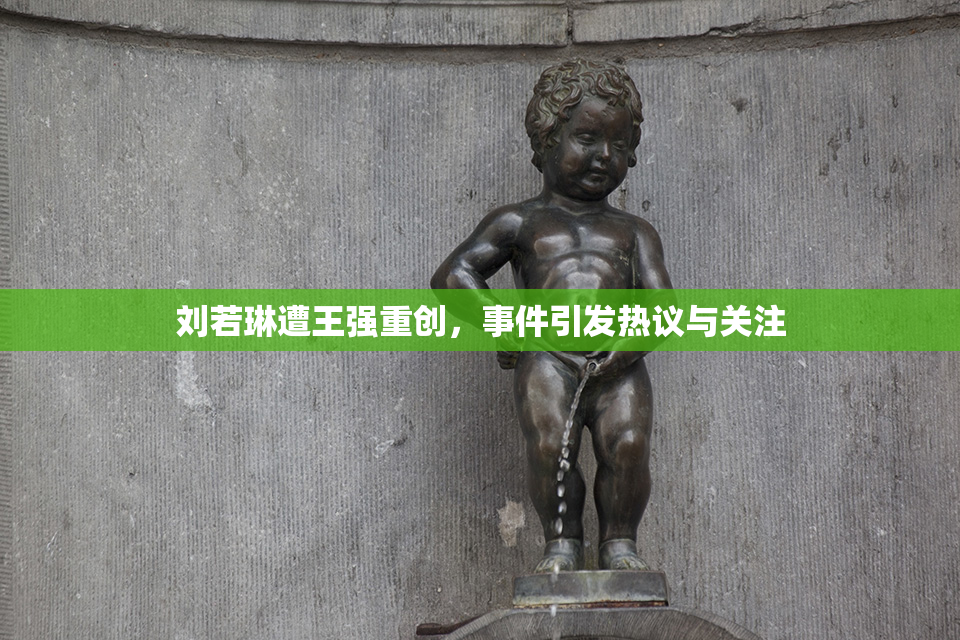 刘若琳遭王强重创，事件引发热议与关注