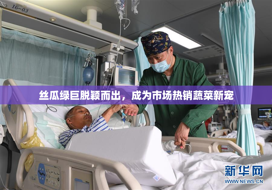 丝瓜绿巨脱颖而出，成为市场热销蔬菜新宠