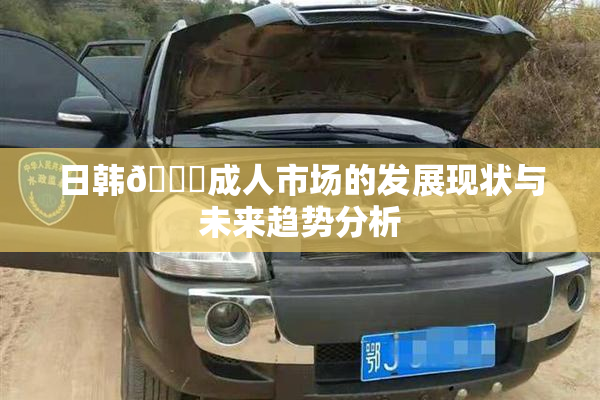 日韩🔞成人市场的发展现状与未来趋势分析
