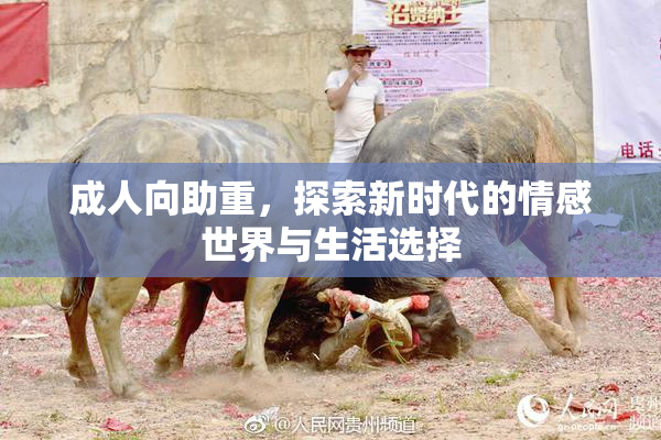 成人向助重，探索新时代的情感世界与生活选择