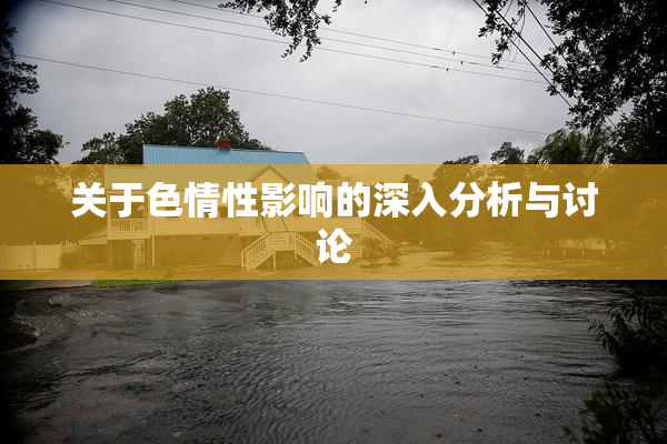 关于色情性影响的深入分析与讨论