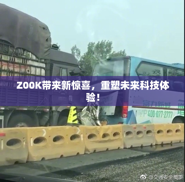 Z00K带来新惊喜，重塑未来科技体验！