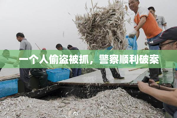 一个人偷盗被抓，警察顺利破案
