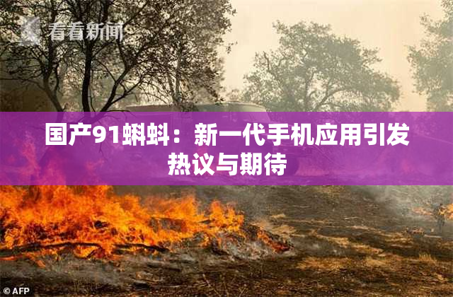 国产91蝌蚪：新一代手机应用引发热议与期待