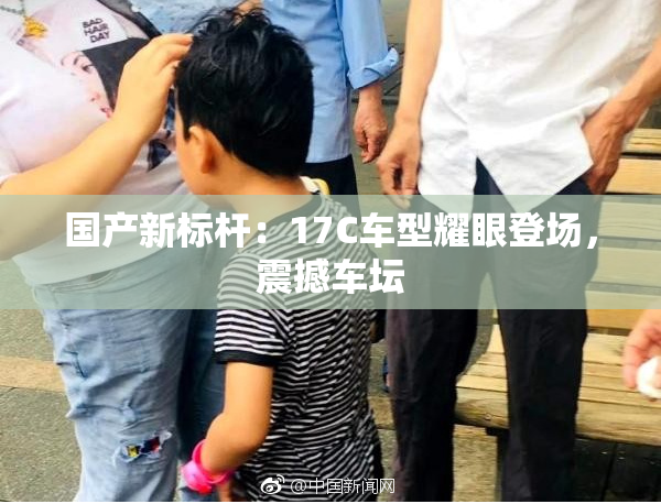 国产新标杆：17C车型耀眼登场，震撼车坛