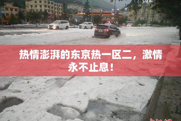 热情澎湃的东京热一区二，激情永不止息！