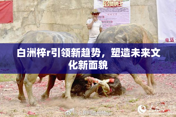 白洲梓r引领新趋势，塑造未来文化新面貌
