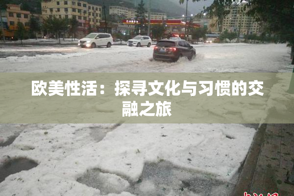 欧美性活：探寻文化与习惯的交融之旅
