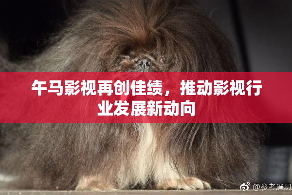 午马影视再创佳绩，推动影视行业发展新动向
