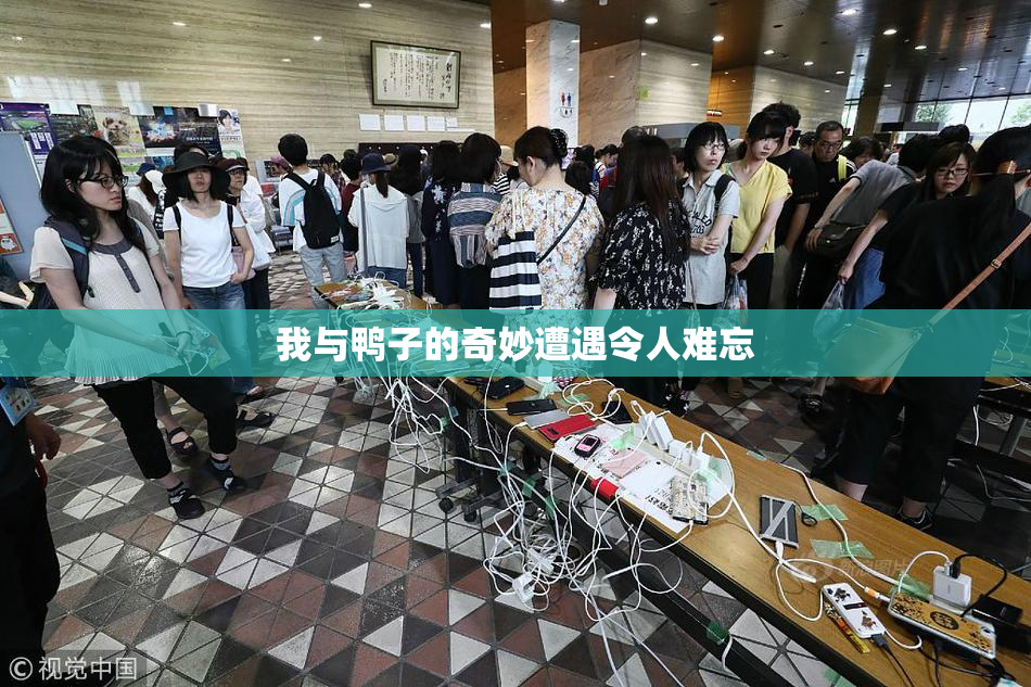 我与鸭子的奇妙遭遇令人难忘