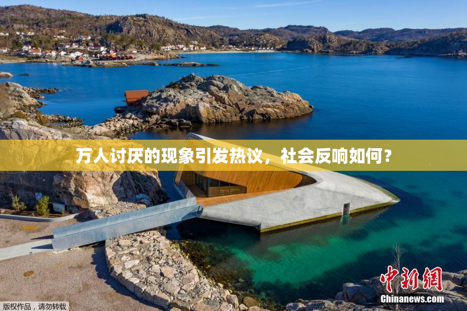 万人讨厌的现象引发热议，社会反响如何？