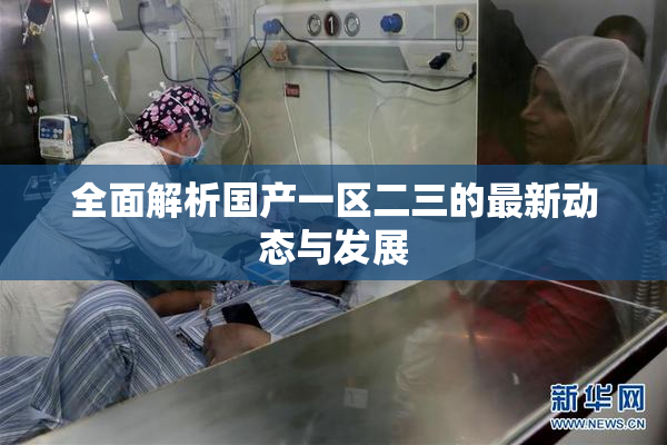 全面解析国产一区二三的最新动态与发展