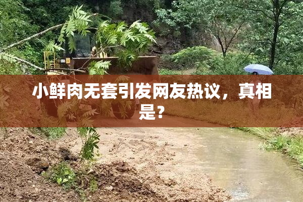 小鲜肉无套引发网友热议，真相是？