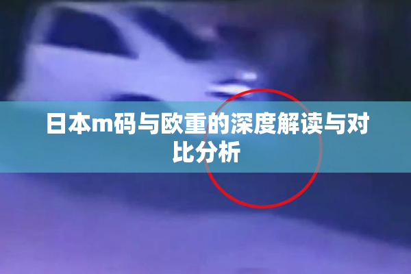 日本m码与欧重的深度解读与对比分析