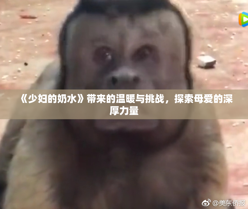 《少妇的奶水》带来的温暖与挑战，探索母爱的深厚力量